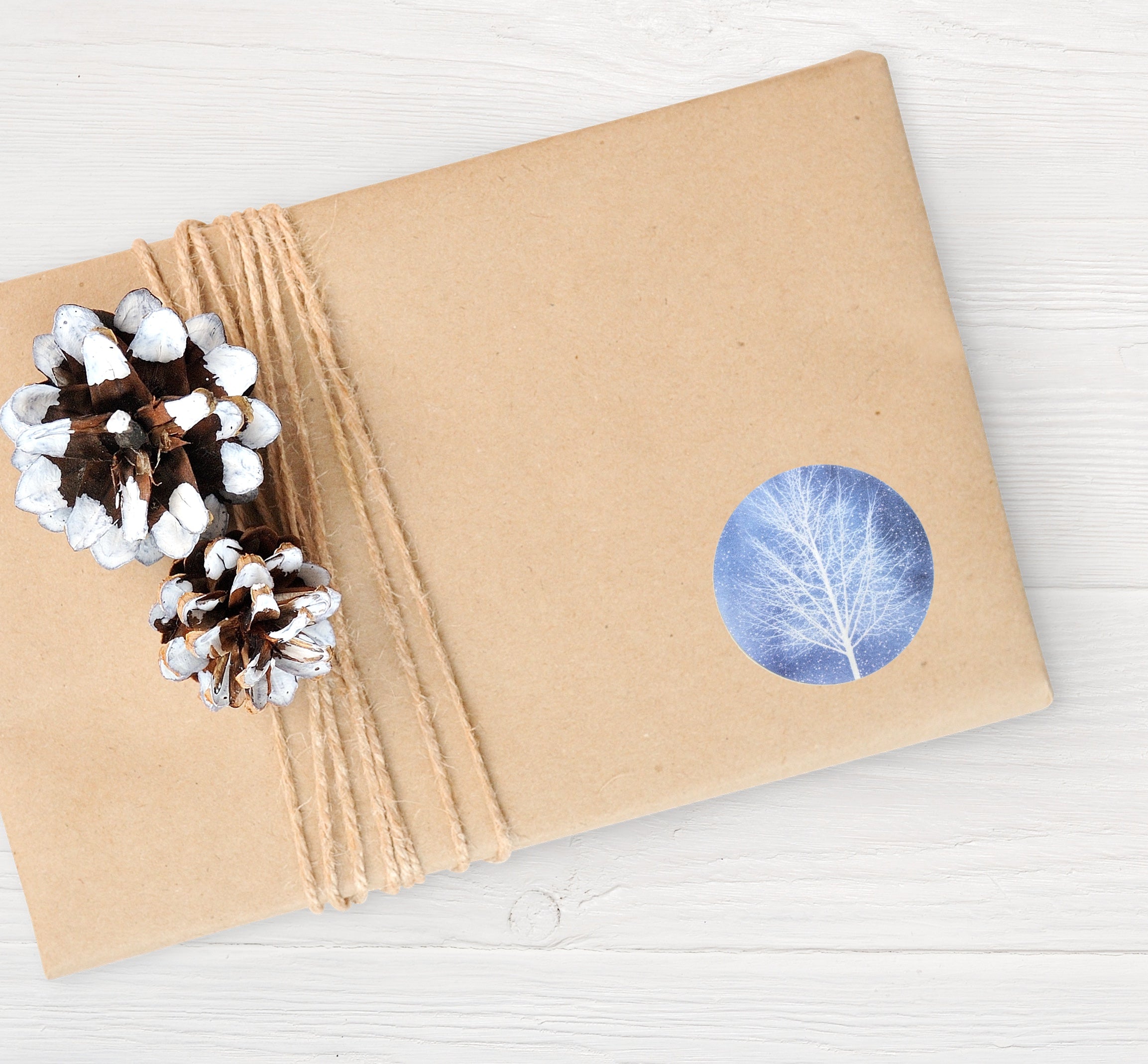 Recyclable & Biodegradable Christmas Stickers for Gift Wrapping, Blue & White Winter Trees - Set of 105 Alternate