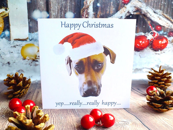 Grumpy Dog in Santa Hat - Pack of 4 Christmas Cards Front
