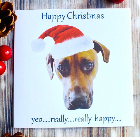 Grumpy Dog in Santa Hat - Pack of 4 Christmas Cards Main