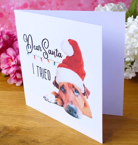 Funny Dog Christmas Cards - Pack of 4 - 'I Tried' Side