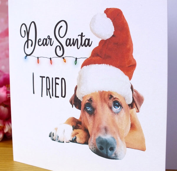 Funny Dog Christmas Cards - Pack of 4 - 'I Tried' Front