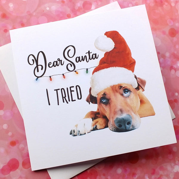 Funny Dog Christmas Cards - Pack of 4 - 'I Tried' Alternate