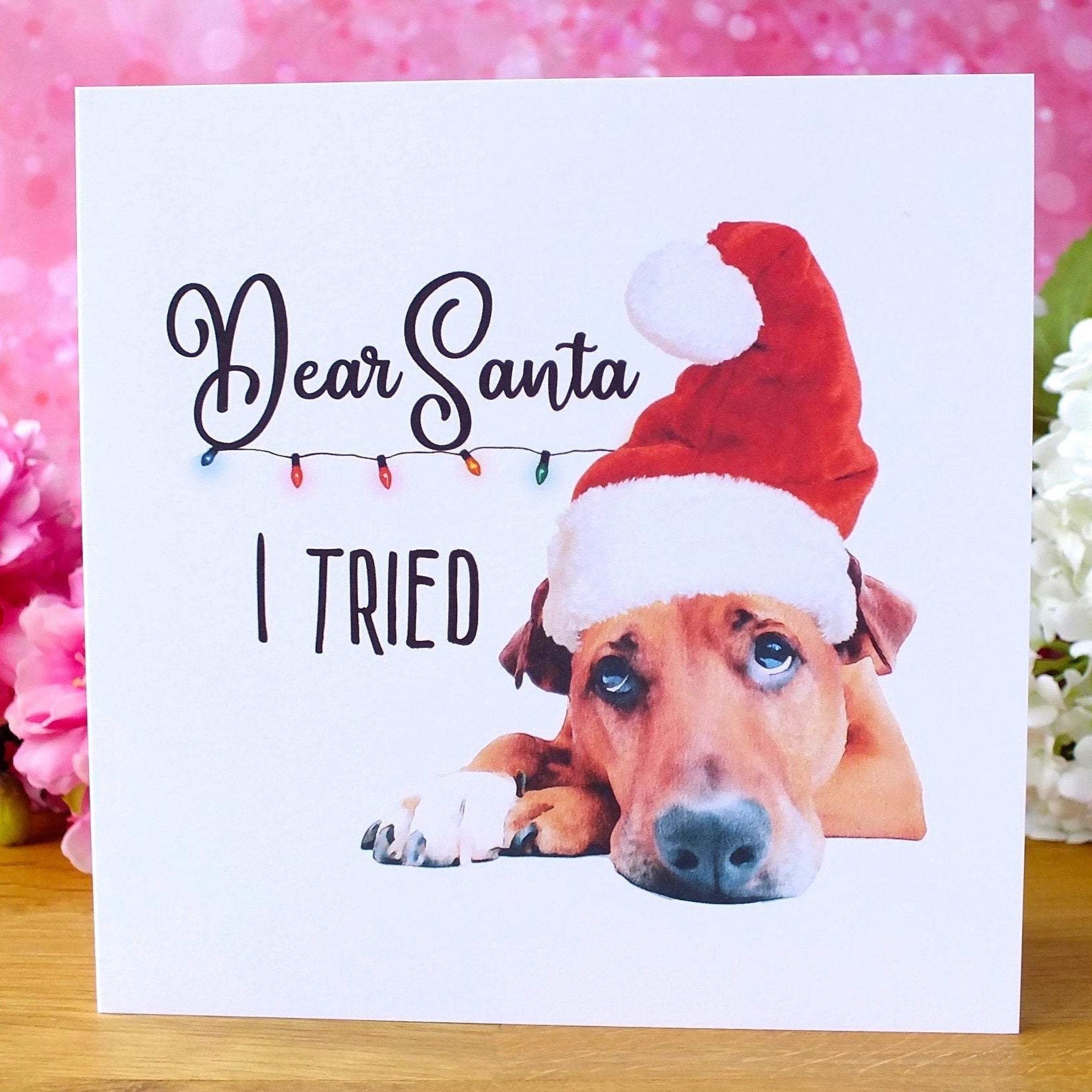 Funny Dog Christmas Cards - Pack of 4 - 'I Tried' Main